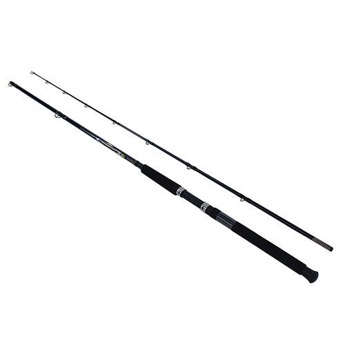 Controller Salmon - 2 Piece, Salmon, 9', Medium Power, Moderate Action