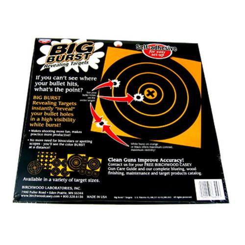 Big Burst Targets - 8" and 4" Targets