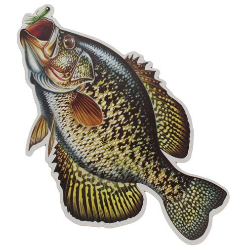 Auto Magnet - Crappie