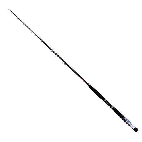 Beefstick BT Saltwater Boat Rod - Conventional, 6'6"