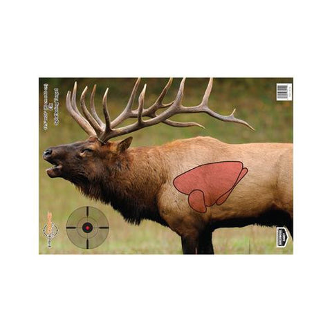 Pregame Targets - Elk, 16.5" x 24" (Per 3)