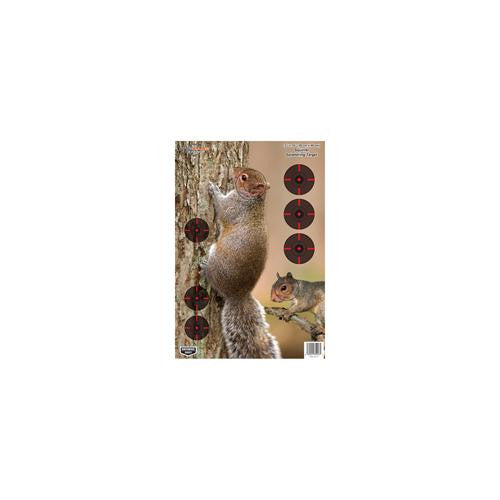 Pregame Targets - Squirrel, 12" x 18" (Per 100)