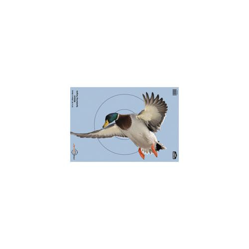 Pregame Targets - Duck, 12" x 18" (Per 100)