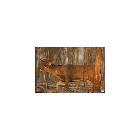 Eze-Scorer Deer 23" x 35" - Per 100