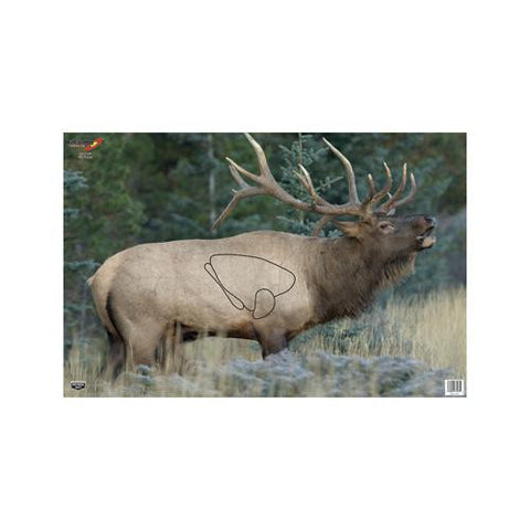 Eze-Scorer Elk 23" x 35" - 2 Targets