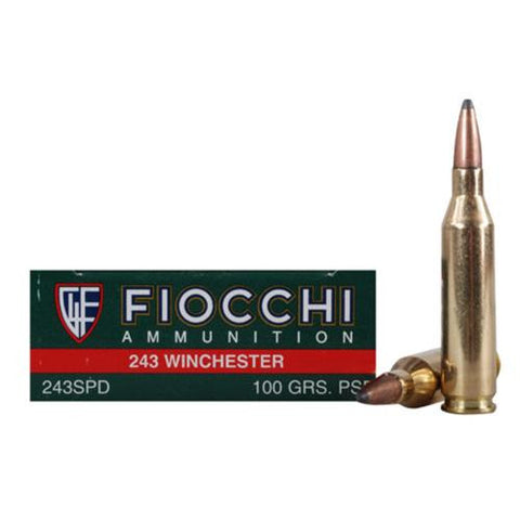 243 Winchester - 100 Gr PSP (Per 20)