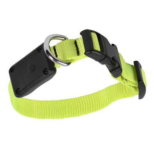 Nite Dawg LED Light Up Dog Collar XS - Neon Yellow