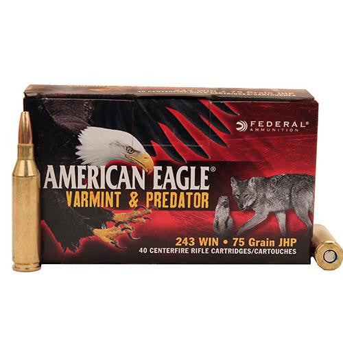 243 Winchester - American Eagle, 75 Grains, Hollow Point, Per 40