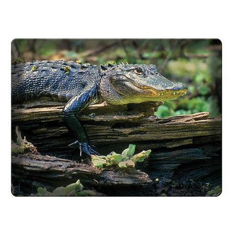 Cutting Board - Alligator, Size 12" x 16"