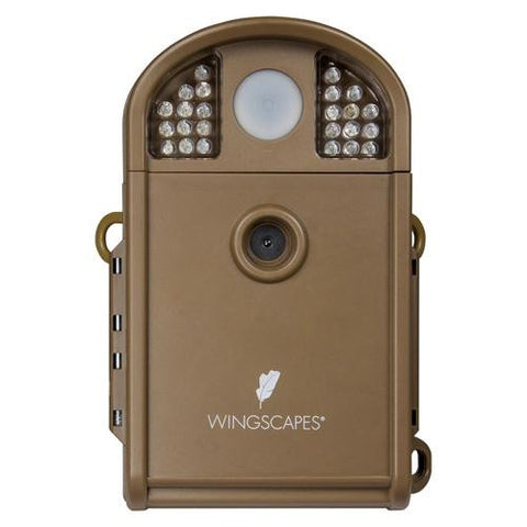 Wingscapes Camera - Backyard Wildlife Cam