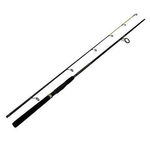 EC Raptor Spinning Rod - 6'6" Length, 2 Piece Rod, 8-20 lb Line Weight, Medium-Heavy Action