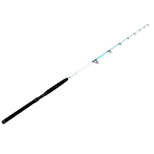 Blair Wiggins Spinning Rod, 7' Length, 1 Piece Rod, Heavy Power - S Curve