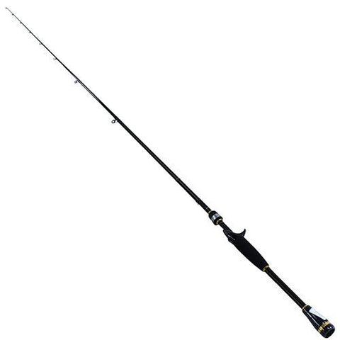 BG System Saltwater Spinning Combo, 4.8:1 Gear Ratio, 6'6" 1pc Rod 12-20 lb Rate