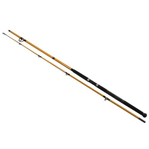 FT Surf Spinning Rod - 10' Length, 2 Piece Rod, 10-20 lb Line Rating, Mediu Power, Fast Action