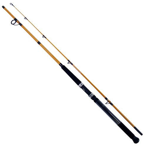 FT Surf Spinning Rod - 8' Length, 2 Piece Rod, 8-17 lb Line Rating, Medium Power, Fast Action