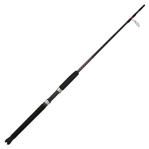 Ugly Stik Bigwater Spinning Rod - 6'6" Length, 1 Piece Rod, 12-30 lb Line Rating, 1-2-3 oz Lure Rate, Medium Power