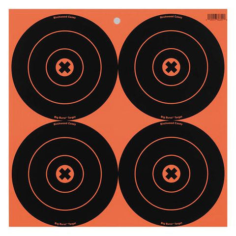 Big Burst Targets - 6" Round