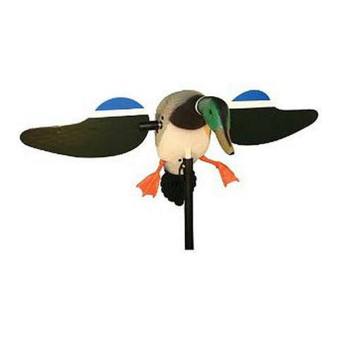 MOJO Mallard Drake - Decoy w-Remote